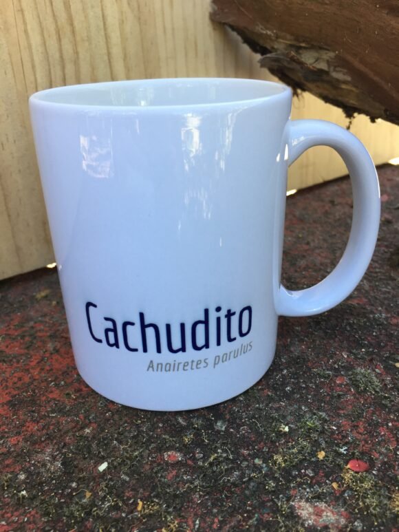 Tazón Cachudito - Imagen 2
