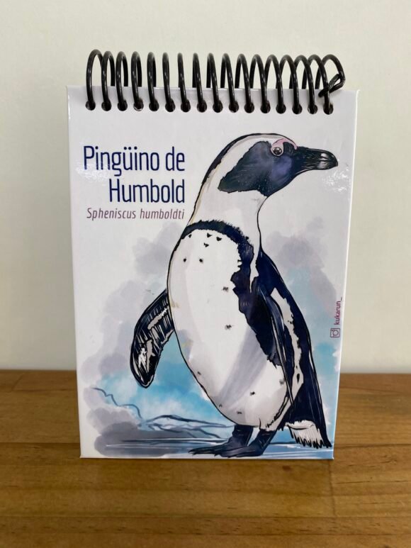 Libreta Pingüino de Humboldt
