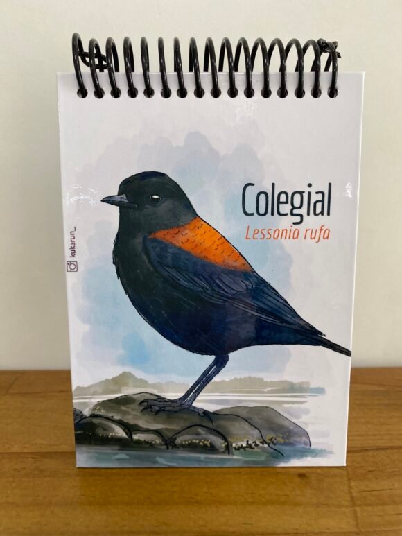 Libreta Colegial