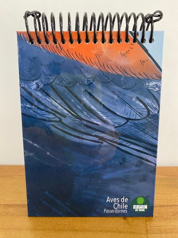 Libreta Colegial - Imagen 4
