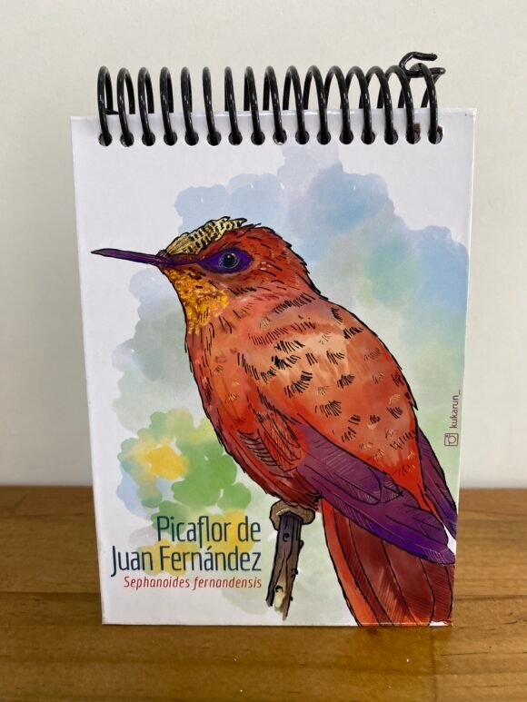 Libreta Picaflor de Juan Fernández