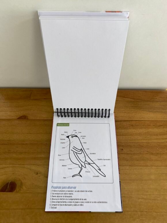 Libreta Picaflor de Juan Fernández - Imagen 4
