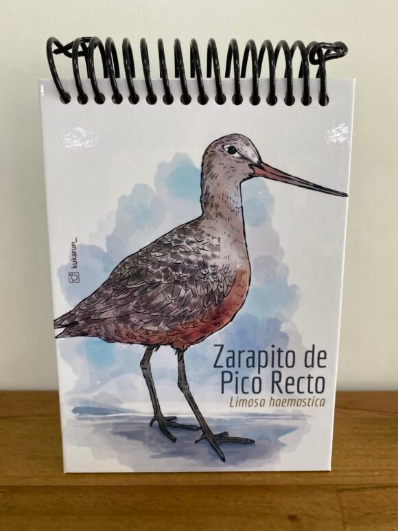 Libreta Zarapito de Pico Recto