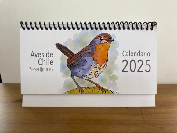Calendario escritorio Aves Passeriformes