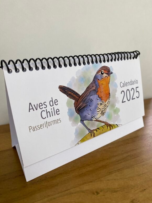 Calendario escritorio Aves Passeriformes - Imagen 2