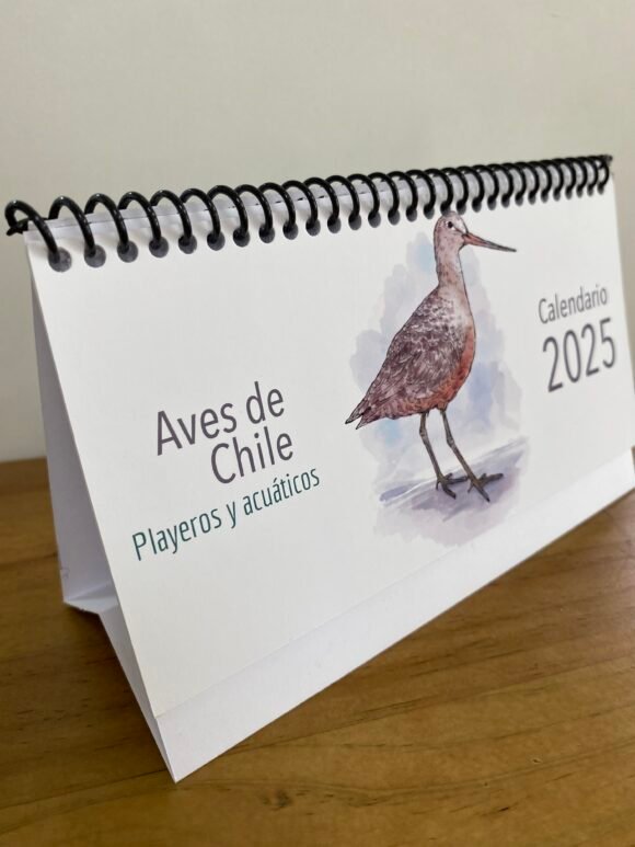 Calendario escritorio Aves Playeras - Imagen 2
