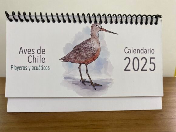 Calendario escritorio Aves Playeras