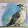 Mouse Pad Tenca
